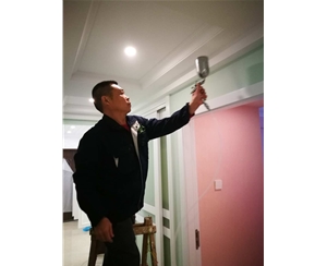 空氣治理除甲醛