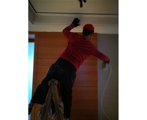 空氣治理除甲醛