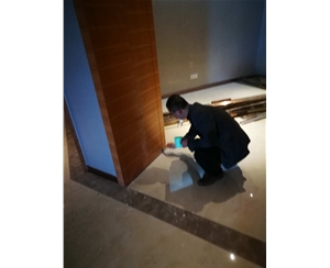 空氣治理除甲醛