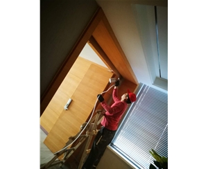 空氣治理除甲醛